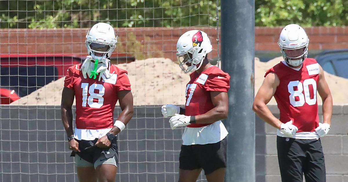 Arizona Cardinals OTAs news: Sean Murphy-Bunting injury, growing physiques, player attendance