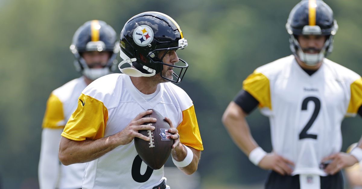 Pittsburgh Steelers QB Aaron Rodgers to mentor Will Howard ‘as much as I can’