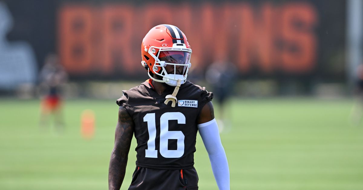 Browns: Veteran WR Diontae Johnson not a fan of cold weather