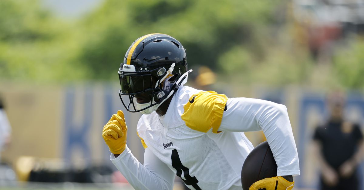 Pittsburgh Steelers DK Metcalf loves what new teammate brings to the table