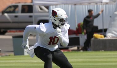 Is Sweat Joshing? - Revenge of the Birds