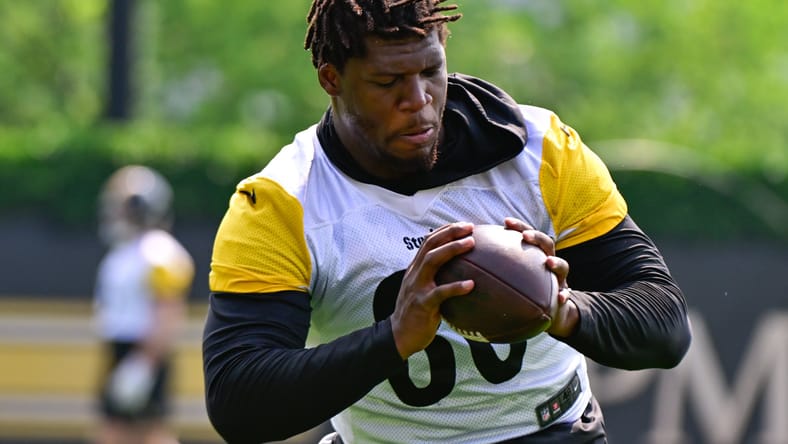 Pittsburgh Steelers TE Darnell Washington