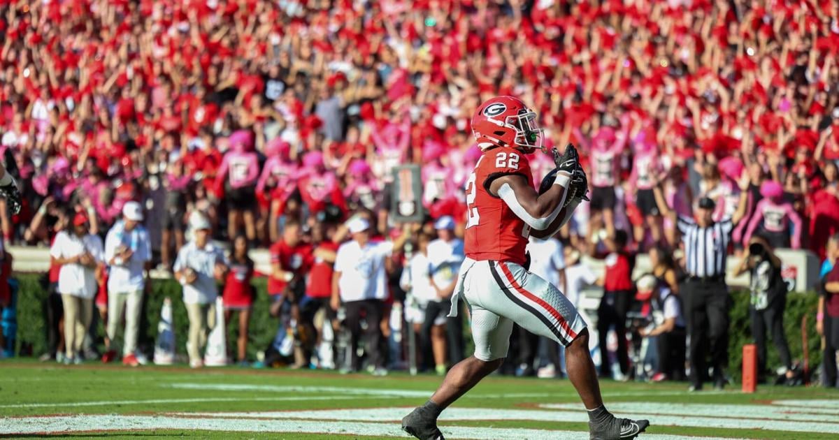 Georgia football spring transfer portal updates | Georgia Sports