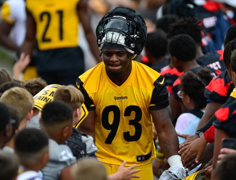 Pittsburgh Steelers LB Mark Robinson