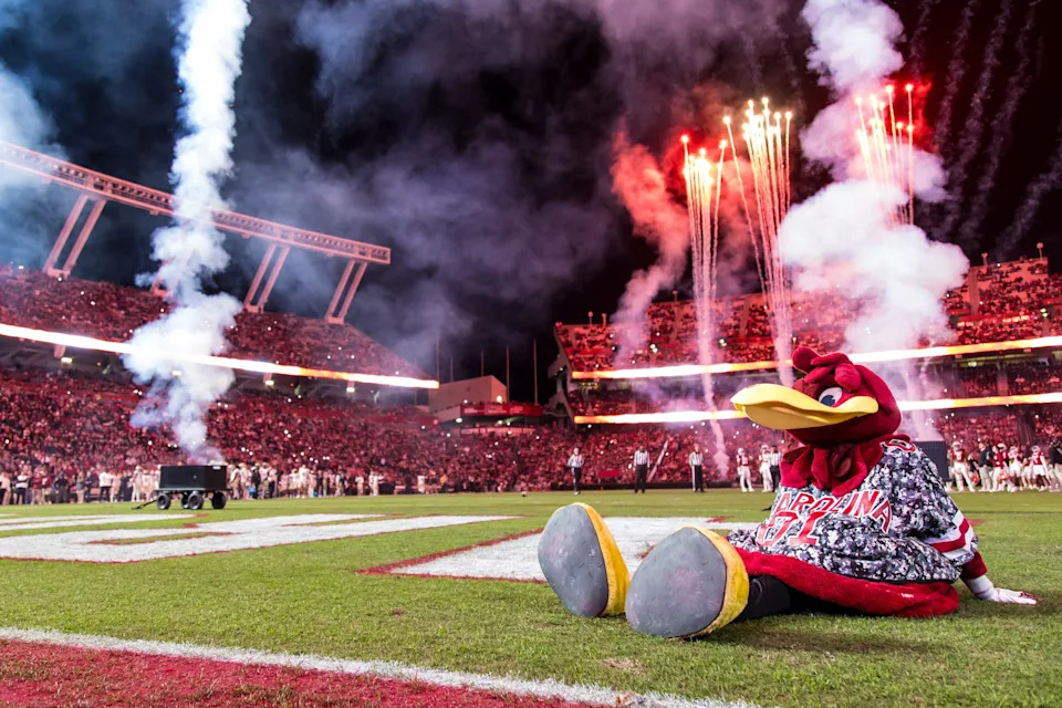 Nov 23, 2024; Columbia, South Carolina, USA; South Carolina Gamecocks mascot Cocky sits on the field between the third and fourth quarters of a game between the South Carolina Gamecocks and Wofford Terriers at Williams-Brice Stadium. Mandatory Credit: Jeff Blake-Imagn Images