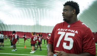 What to expect from Arizona Cardinals OT Christian Jones in Year 2