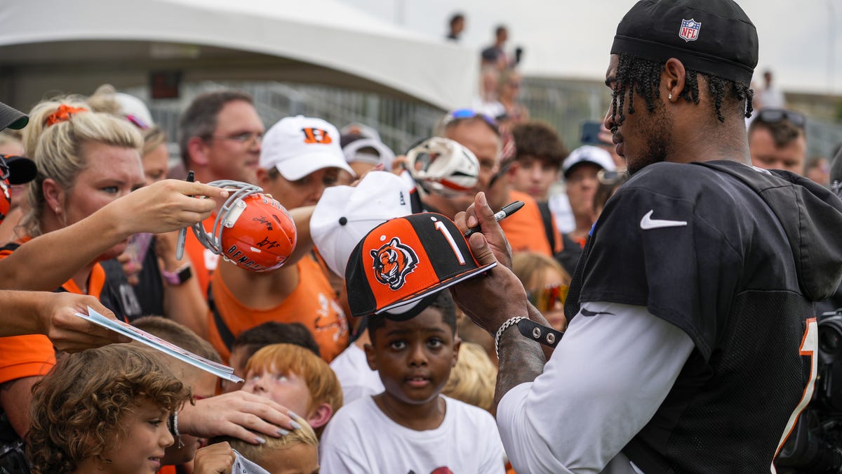 Fan yells at Bengals WR for not signing plane autograph