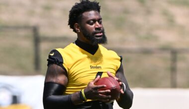 Former Ravens star beginning to look like a bust on Steelers roster