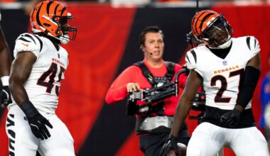Bengals flail in the cellar of defensive projections...for now