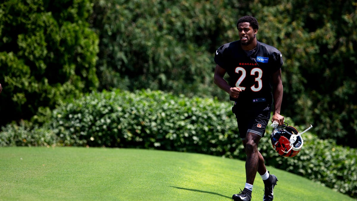 Bengals defense gets a big endorsement from NFL expert