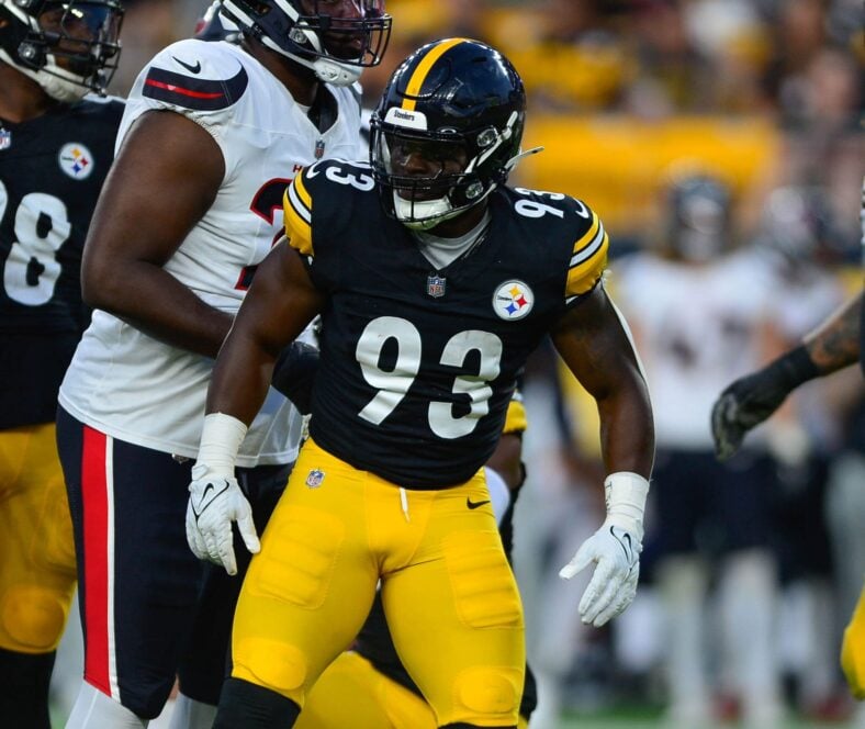Pittsburgh Steelers LB Mark Robinson