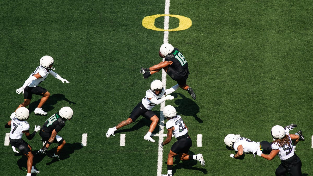 NFL experts label Oregon TE Kenyon Sadiq a player to watch in 2025