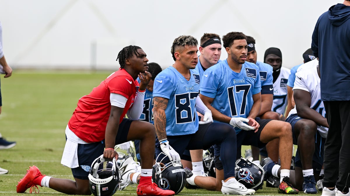 What ratings did the Titans' rookie class receive?