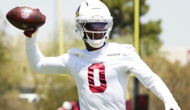 What Will Johnson brings to Arizona Cardinals: Video breakdown