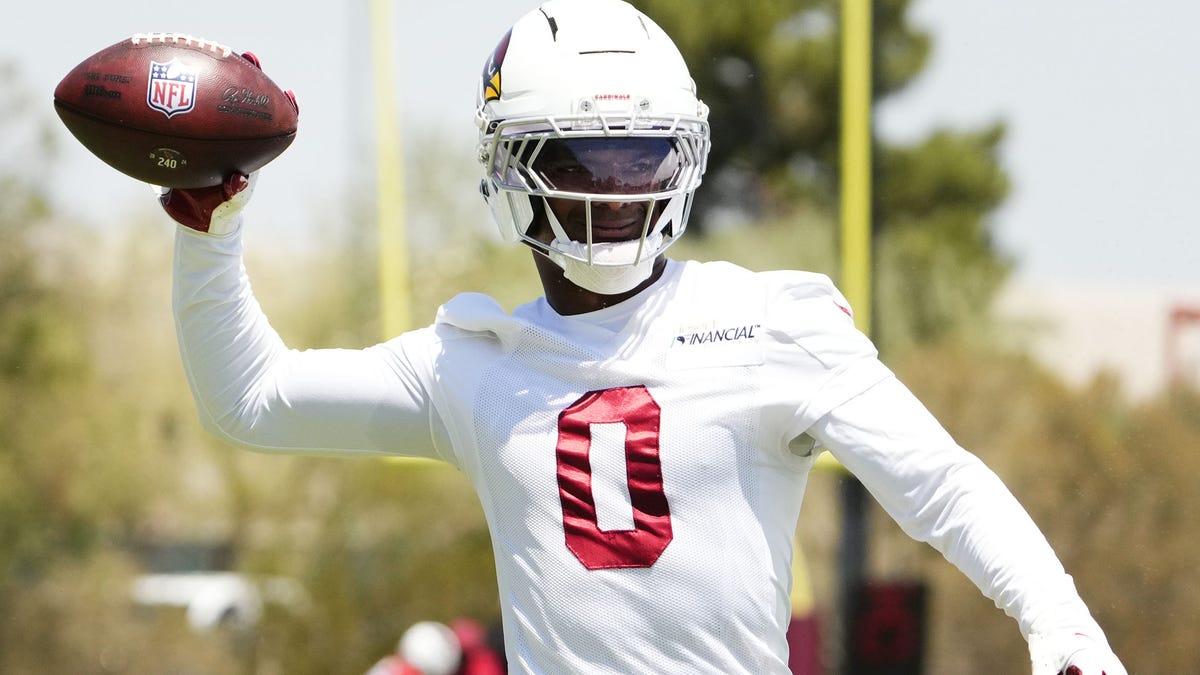 What Will Johnson brings to Arizona Cardinals: Video breakdown