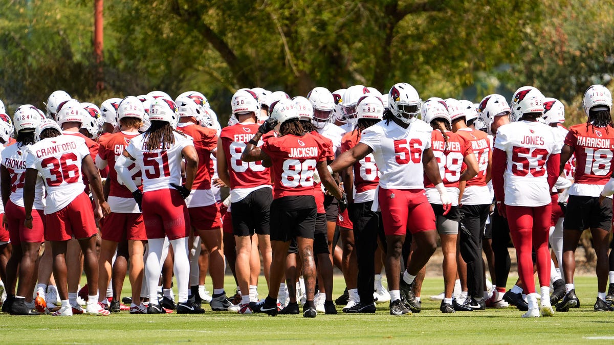 Arizona Cardinals minicamp Day 2 pictures and highlights