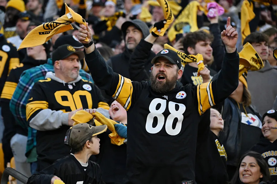 Fans cheer during a game between the Pittsburgh Steelers and the Cleveland Browns.<p>Justin Berl&sol;Getty Images</p>