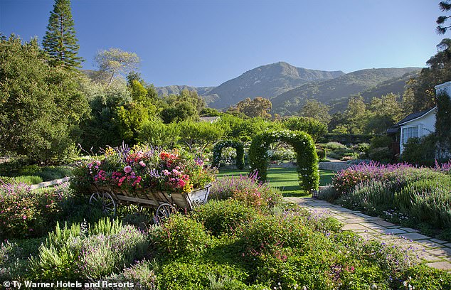 The happy couple tied the knot in front of the stunning vistas of the luxurious San Ysidro Ranch