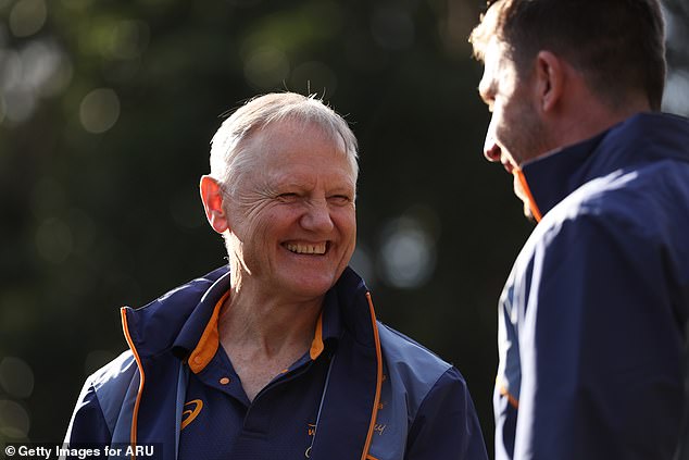 Australia have made positive strides under Joe Schmidt and they are likely to be competitive