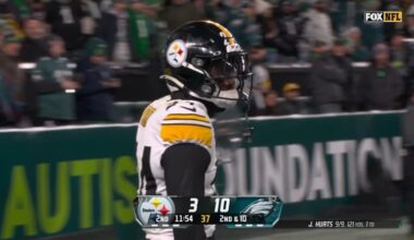 Robert Mays Thinks Development Of Steelers' Young Players Can Save Them From 'Wasted Year'