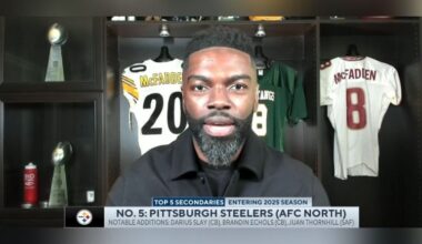 Bryant McFadden Steelers Secondary