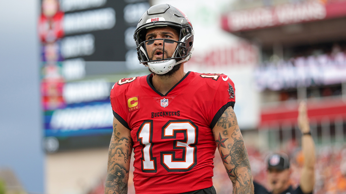 Dec 29, 2024; Tampa, Florida, USA; Tampa Bay Buccaneers wide receiver Mike Evans (13) celebrates after catching a pass for a two point conversion against the Carolina Panthers in the second quarter at Raymond James Stadium. Mandatory Credit: Nathan Ray Seebeck-Imagn Images