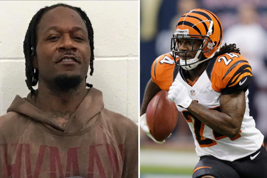 Adam 'Pacman' Jones threw elbow at cop during arrest: bodycam video