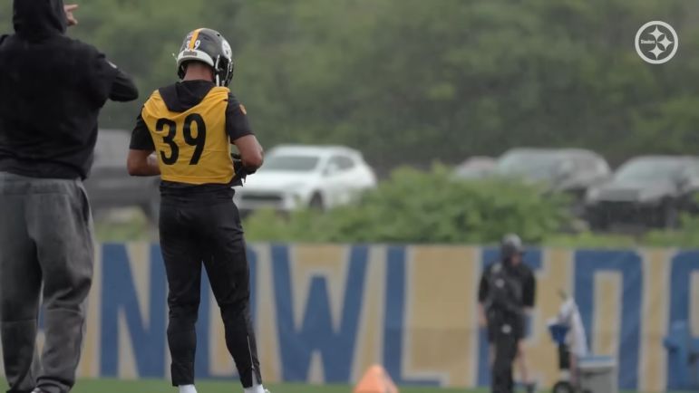 Minkah Fitzpatrick Steelers