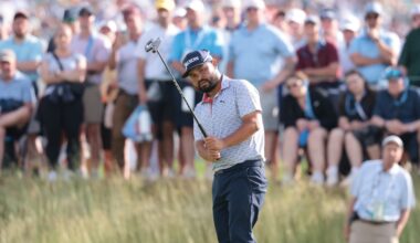 Steelers Colors vs. Browns Loyalty