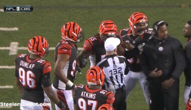 Bengals Steelers Joey Porter