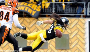 Looking Back: Cincinnati Bengals