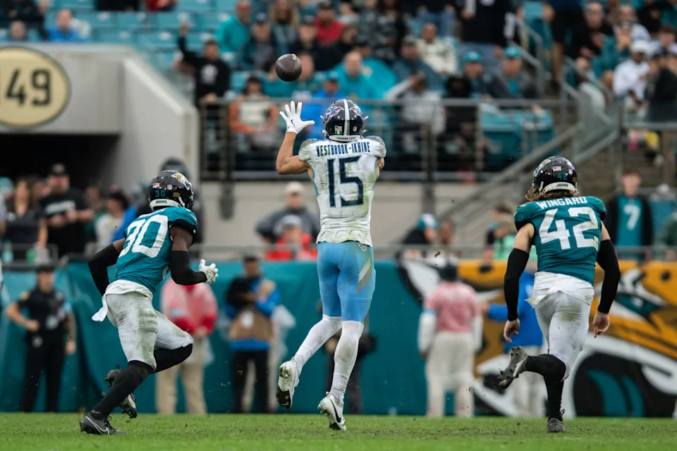 Tennessee Titans wide receiver Nick Westbrook-Ikhine (15) makes the catch against the Jacksonville Jaguars.Jeremy Reper-Imagn Images