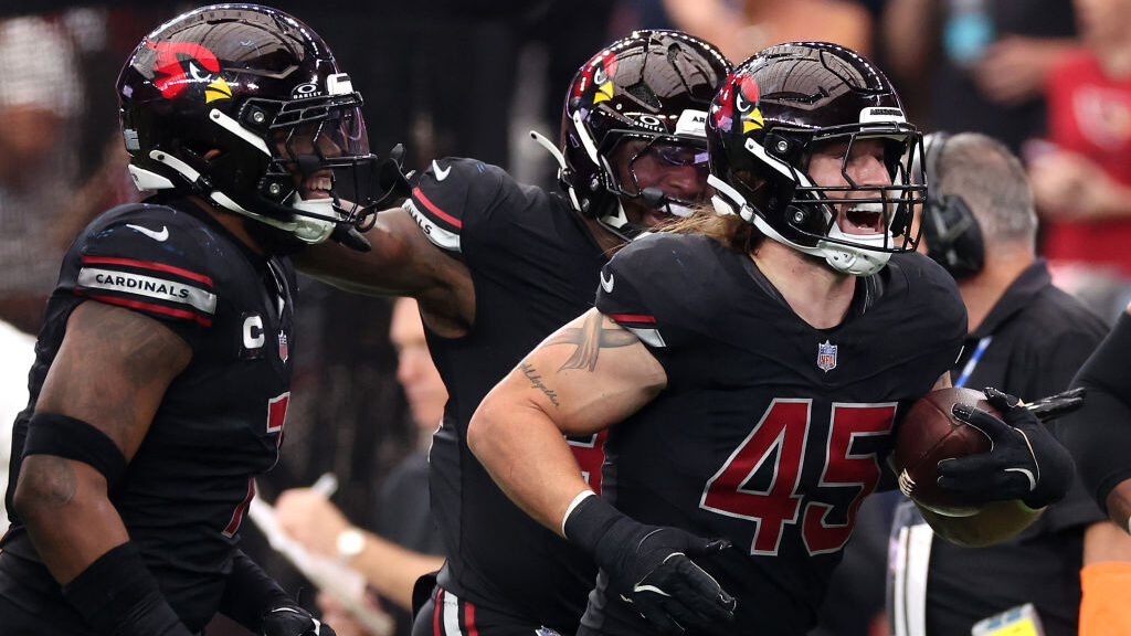 Dennis Gardeck celebrates with his Cardinals teammates...
