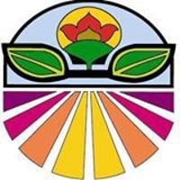 Hancock's Sat, Lewis sign with four-year football programs | College Sports