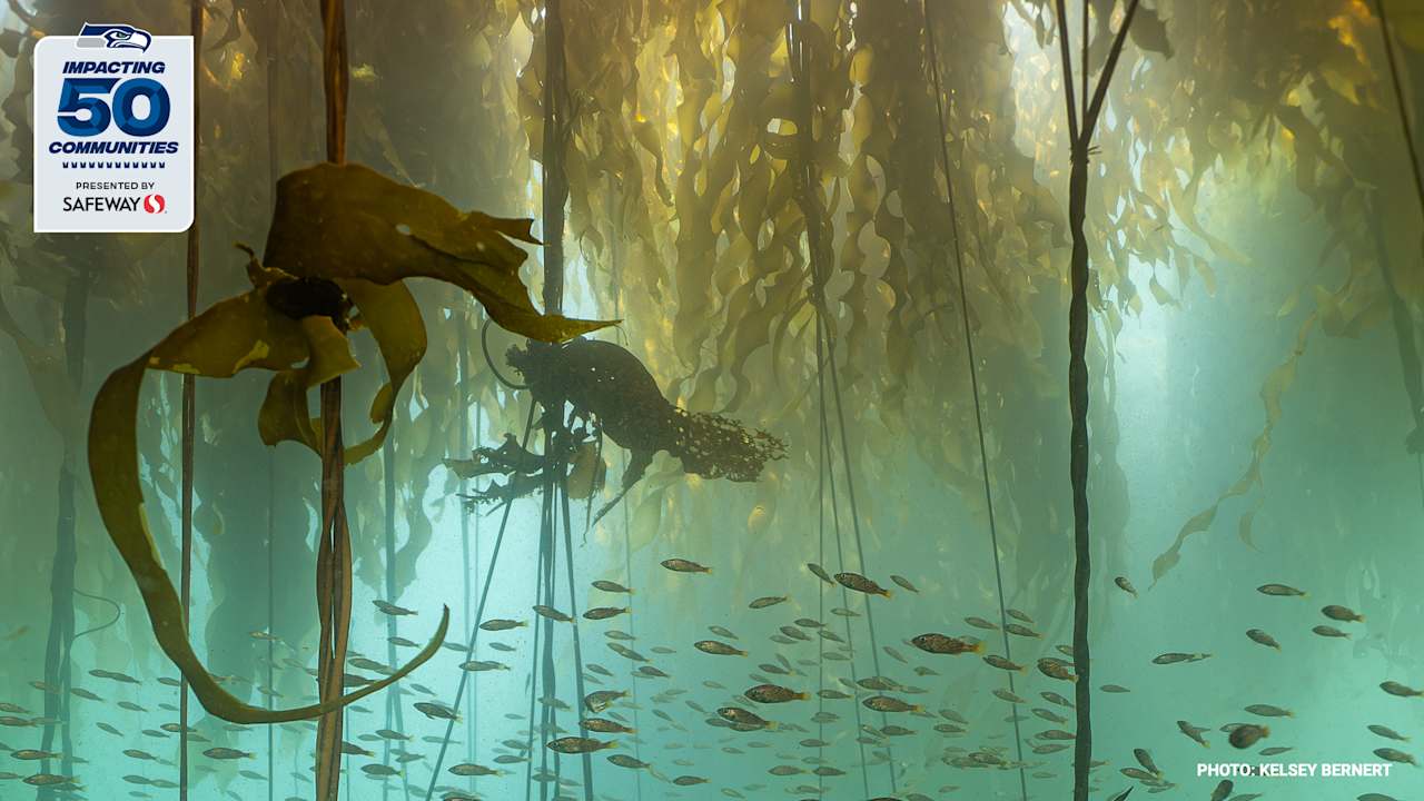 Puget Sound Restoration Fund Announces Community Support from the Seattle Seahawks and Lumen Field