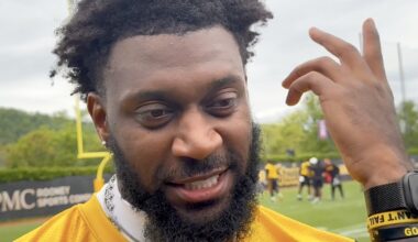 Ravens loss sparked sweeping changes to Steelers' defense