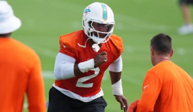 Dolphins 'were lying' about culture change last year