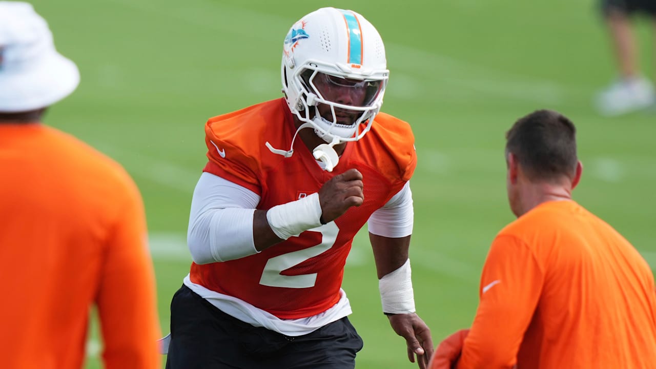 Dolphins 'were lying' about culture change last year