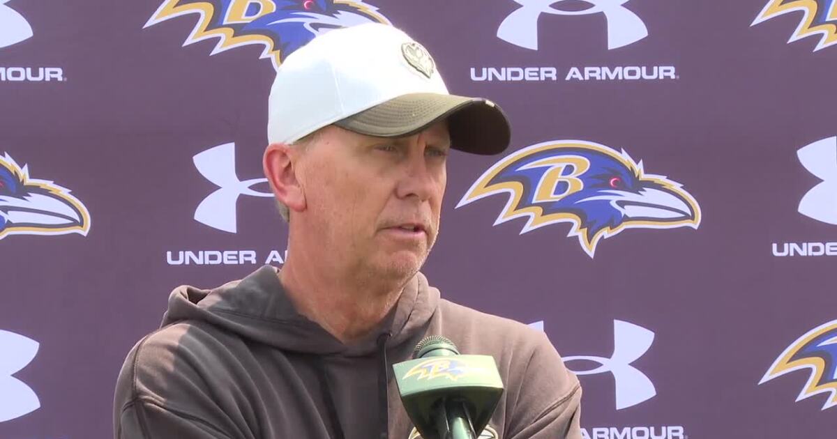 Ravens praise Hopkins' impact during OTAs