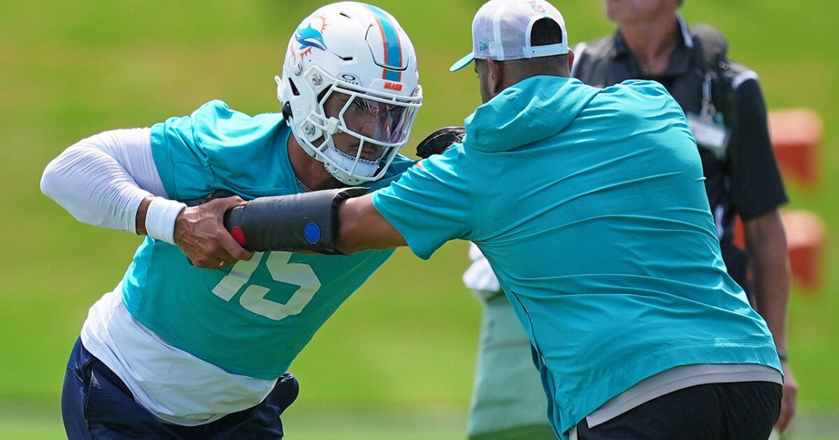Dolphins began offseason minicamp without these 2 stars