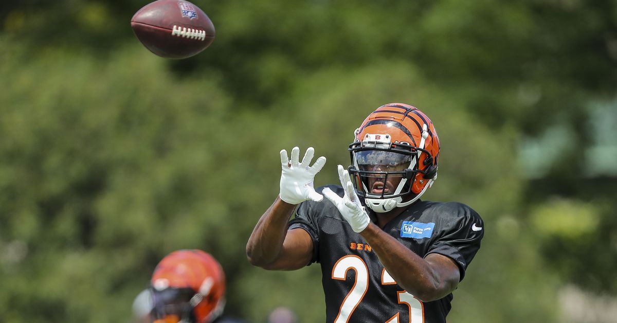 Bengals finally have a plan to use Dax Hill’s elite skill set