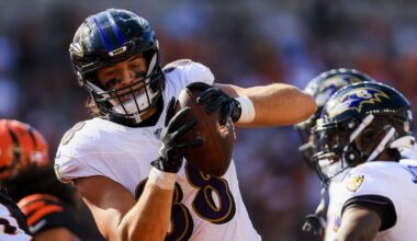 Who is the most underappreciated player on the Ravens?