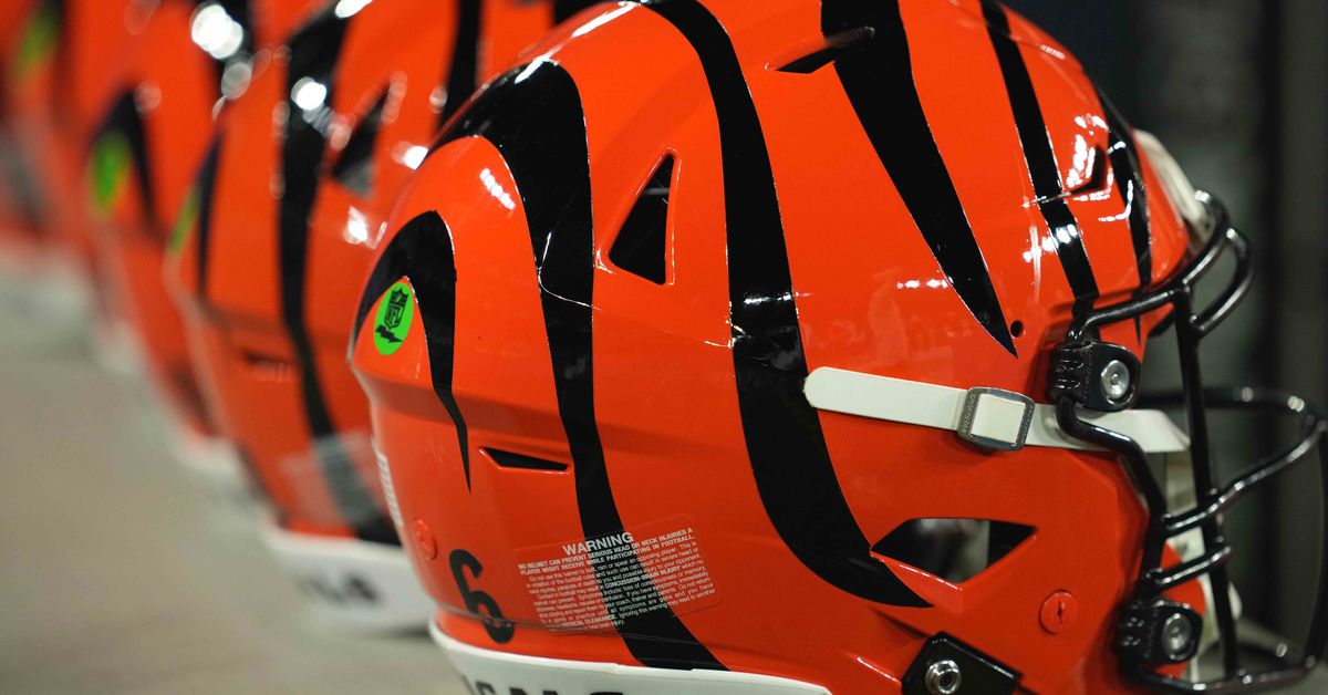 Bengals announce 3 additions to scouting department