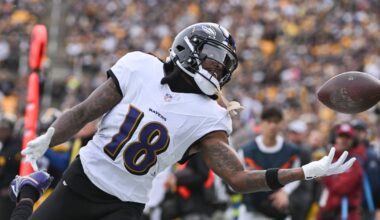 Diontae Johnson refused to play for Ravens because he was ‘too cold’