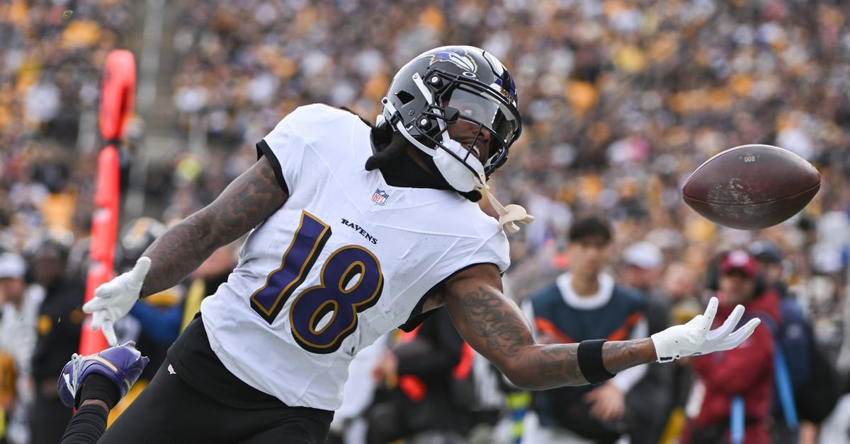 Diontae Johnson refused to play for Ravens because he was ‘too cold’