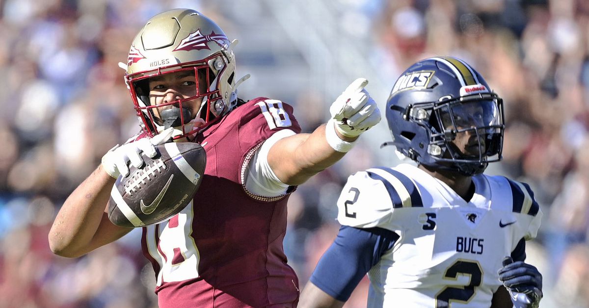 2025 FSU Position Previews: Tight ends