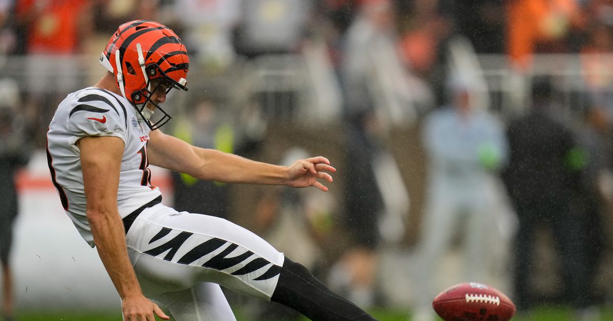 90 Buffalo Bills players in 90 days: P Brad Robbins