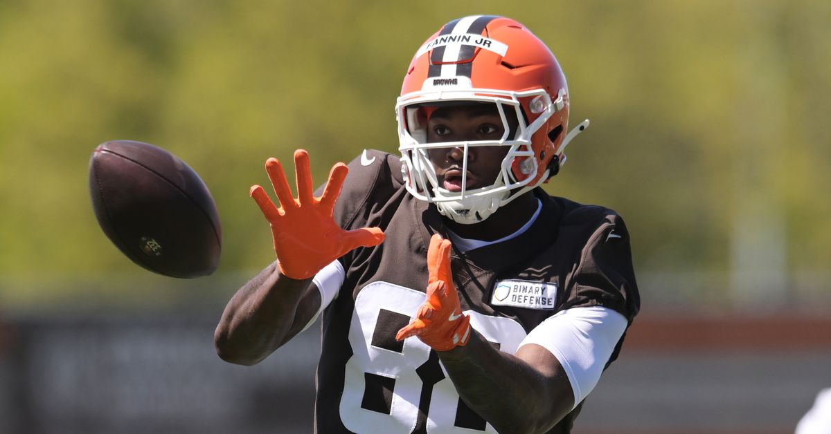 Browns NFL draft pick TE Harold Fannin Jr could be a big part of the 2025 season