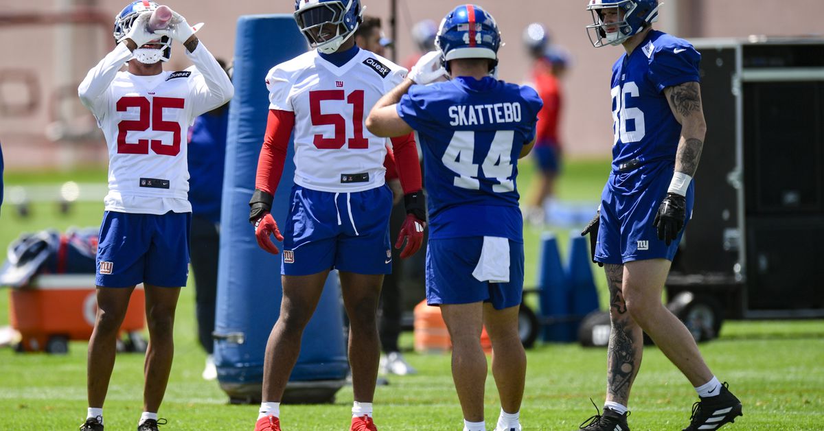 Giants Reacts Survey: What storyline are you most interested in for minicamp?
