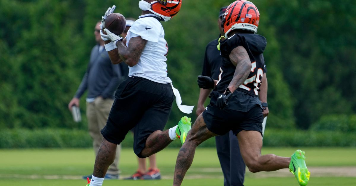 Key takeaways from Cincinnati Bengals OTAs